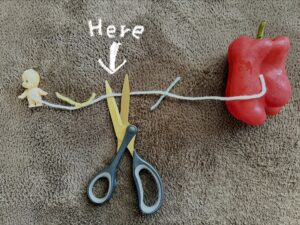 Cut the cord between the two ties.