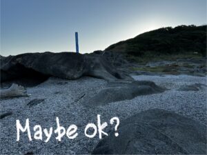 Maybe OK?