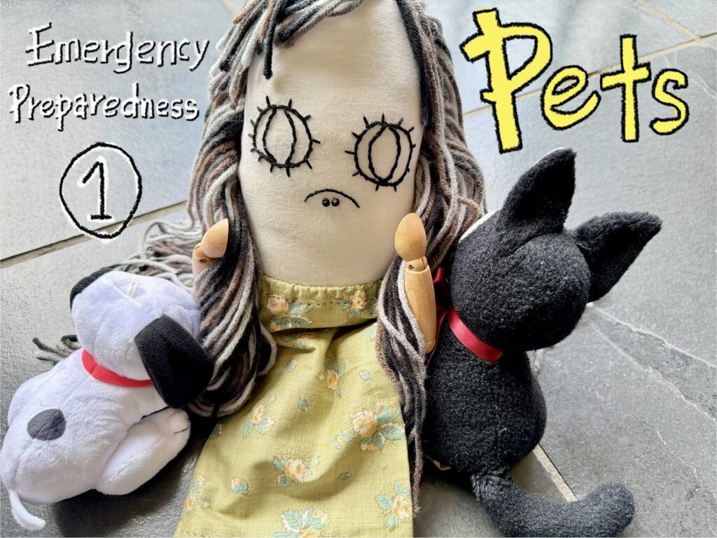 Emergency Preparedness - Pets (Part 1)